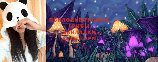 jwh Вяземский