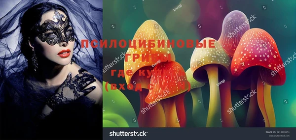 jwh Вяземский